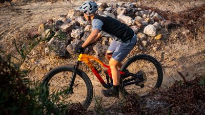 Trek Top Fuel 8 XT L Mercury Produktbild 15